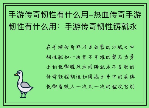 手游传奇韧性有什么用-热血传奇手游韧性有什么用：手游传奇韧性铸就永不言败的传奇征程